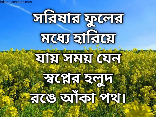 400+ সরিষা ফুল নিয়ে ক্যাপশন | বেস্ট সরিষা ফুল নিয়ে স্ট্যাটাস - sorisha full caption 2 400+ সরিষা ফুল নিয়ে ক্যাপশন | বেস্ট সরিষা ফুল নিয়ে স্ট্যাটাস - sorisha full caption