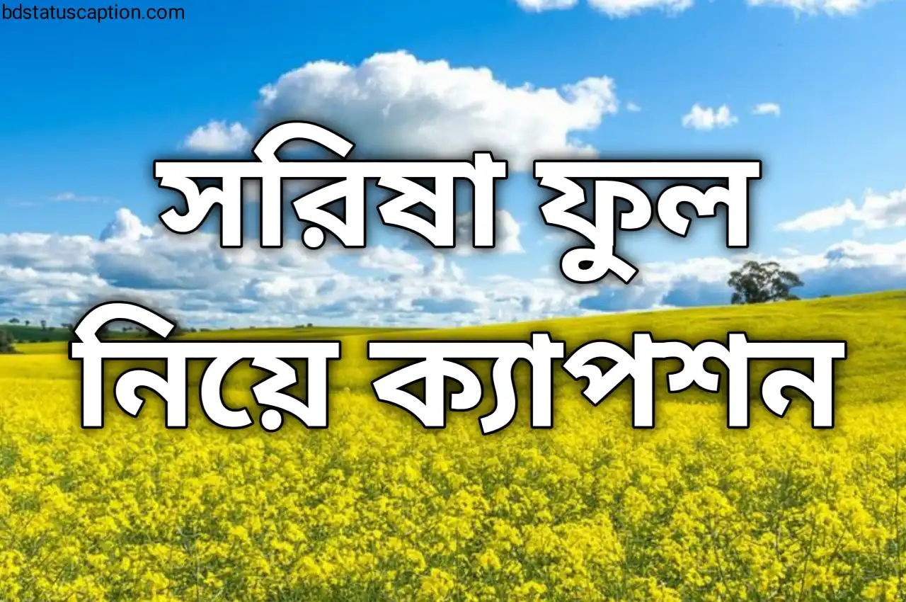 400+ সরিষা ফুল নিয়ে ক্যাপশন | বেস্ট সরিষা ফুল নিয়ে স্ট্যাটাস - sorisha full caption
