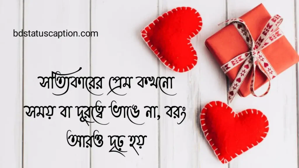 510+ ভালোবাসার ক্যাপশন - সত্যিকারের ভালোবাসা নিয়ে স্ট্যাটাস ও সেরা উক্তি 2025 3 510+ ভালোবাসার ক্যাপশন - সত্যিকারের ভালোবাসা নিয়ে স্ট্যাটাস ও সেরা উক্তি 2025