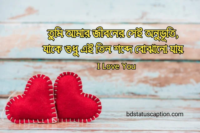 510+ ভালোবাসার ক্যাপশন - সত্যিকারের ভালোবাসা নিয়ে স্ট্যাটাস ও সেরা উক্তি 2025 7 510+ ভালোবাসার ক্যাপশন - সত্যিকারের ভালোবাসা নিয়ে স্ট্যাটাস ও সেরা উক্তি 2025