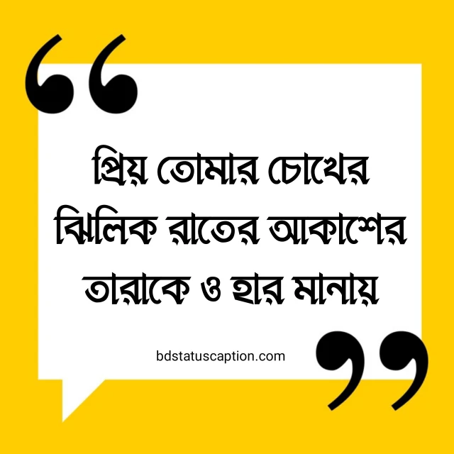 420+ রাতের আকাশ ক্যাপশন ও সেরা স্ট্যাটাস উক্তি 2025